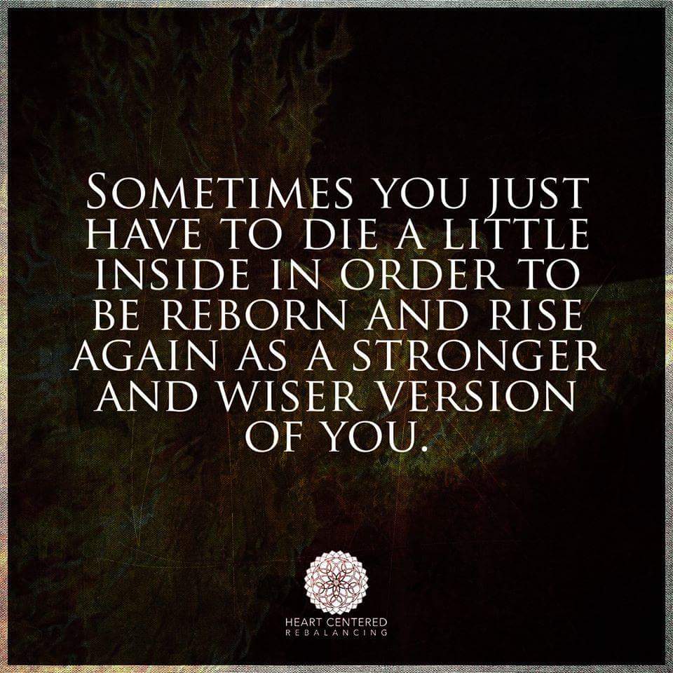 GroenKloofMTB&Trails (@groenkloofmtb) on Twitter photo 