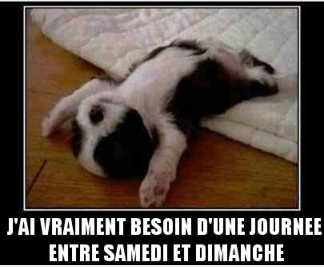 AngelOMAtchik's tweet photo. Se moment ou tu etait chaud pour aller dehors et ke tu te souvien kta la flemme !😭😭 http://t.co/D7vPCDB1MW