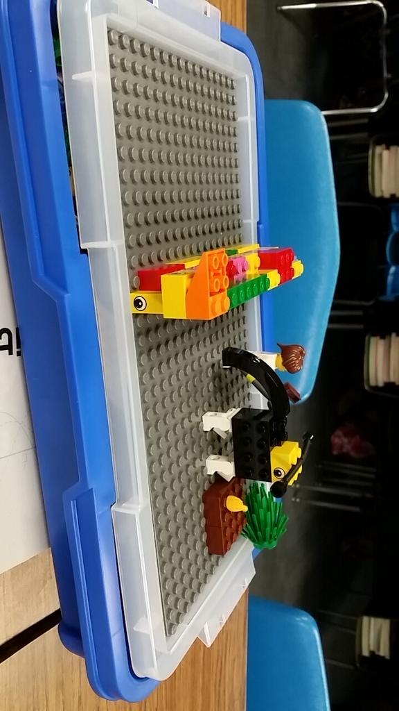 Just beating Harry the dog out of my yard #azLEARNS