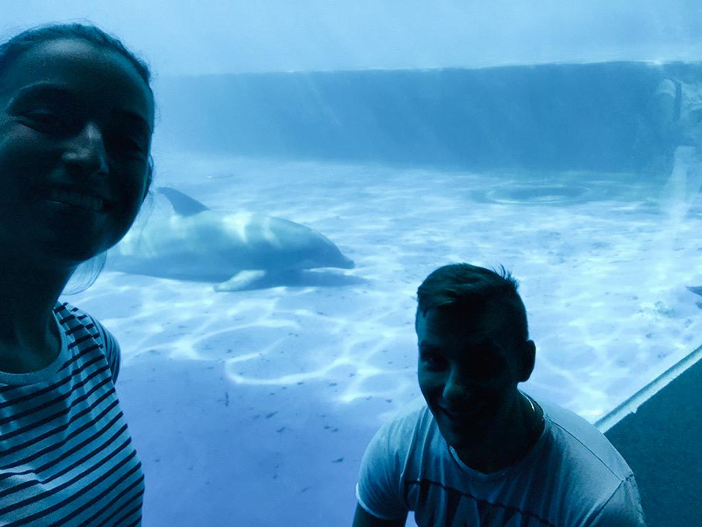 GreCamera's tweet image. Today #acquario di #genova 🐟🐠🐙🐬🐚 with #mylove 💙