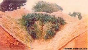 &iexcl;&iexcl;Bendita Naturaleza!! Nunca dejar&aacute; de sorprenderme... http://t.co/7mHGvVH8Ie