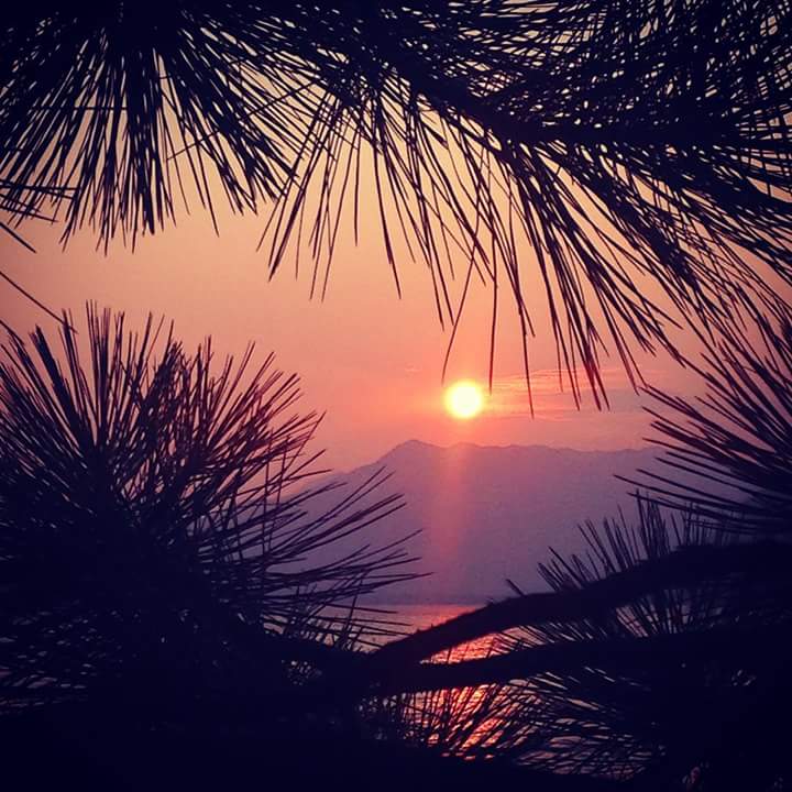 Sunsetcoaching's tweet image. Sunset Interlude Coaching. Check out my website and contact me for a FREE initial coaching session!