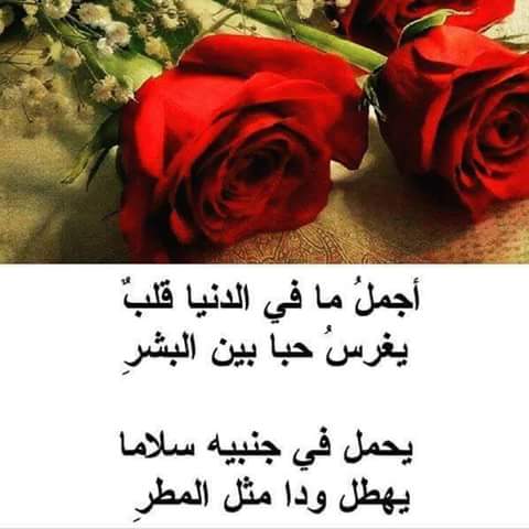أميرة القلمون  (@zahrelsham) on Twitter photo 