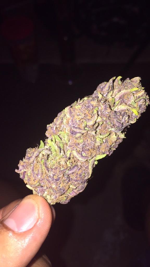 ThoughtsEndless's tweet image. 