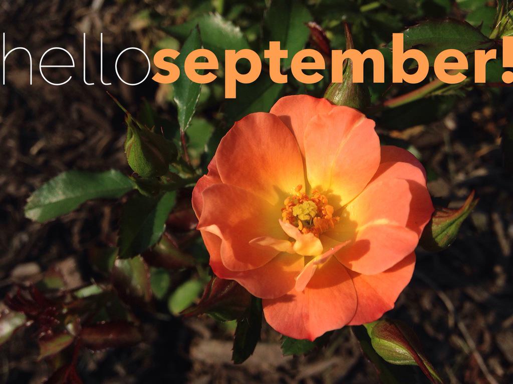 gotolancaster's tweet image. Why, hello september! #LancasterCounty in the fall is beautiful - we're excited for changing leaves &amp;amp; brisk weather!