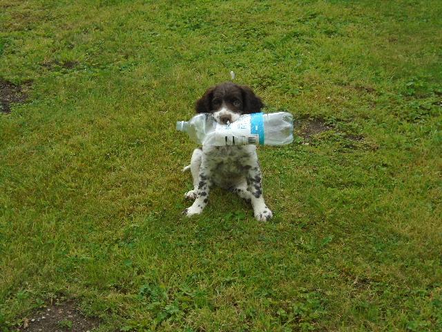 Cheerio chaps - I takin Her out to play cos She got leaky eyes again xxx