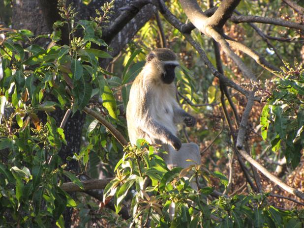 RT <a href="/espadirectorate/">ESPA Directorate</a>: Friend or foe? How does biodiversity affect food security @simon_willcock ow.ly/RJum8