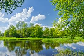 Julia Veprintceva (@juliaveprintcev) on Twitter photo 