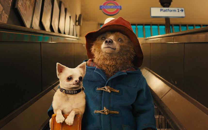rooftopfilmclub's tweet image. &quot;In London everyone is different, and that means anyone can fit in&quot; - Paddington (2014) #refugeeswelcome
