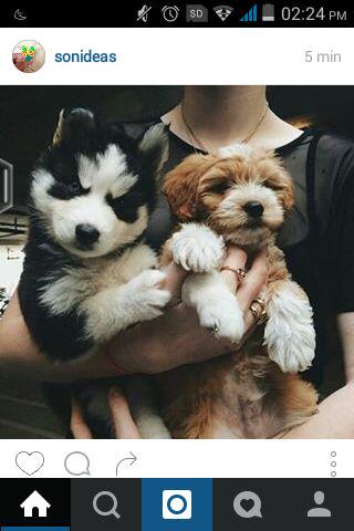 luisa_fpcb's tweet image. 