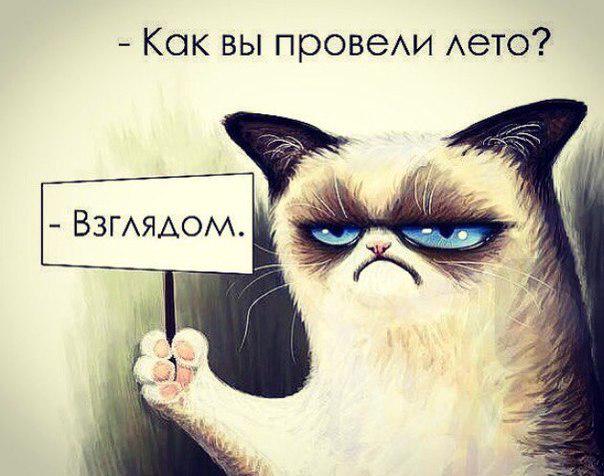 Как лето проводишь ответ. Как лето проводишь ответ. Как я провожу лето мем. Как вы провели лето взглядом. Лето проходит.