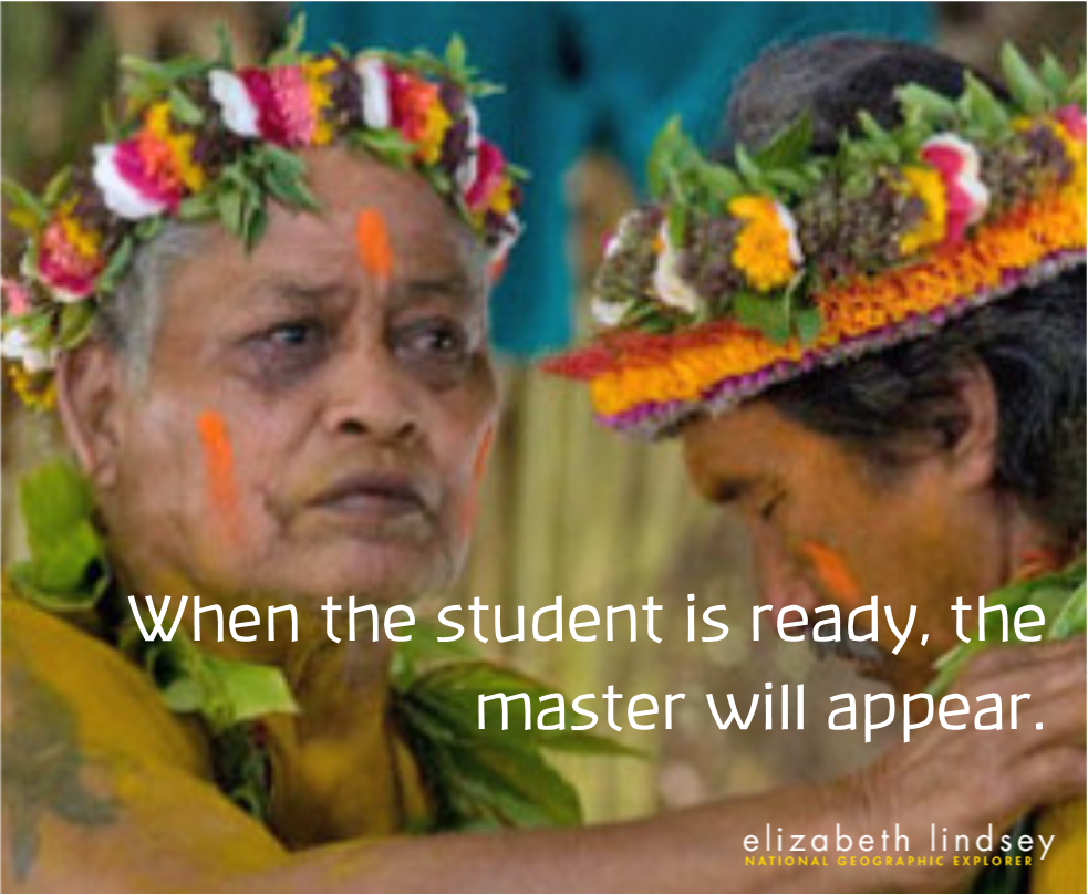 When the student is ready, the master will appear.