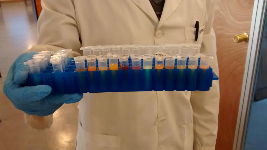 csfitzpatrick's tweet image. Biocolour Tech: primer paso para el el éxito!!