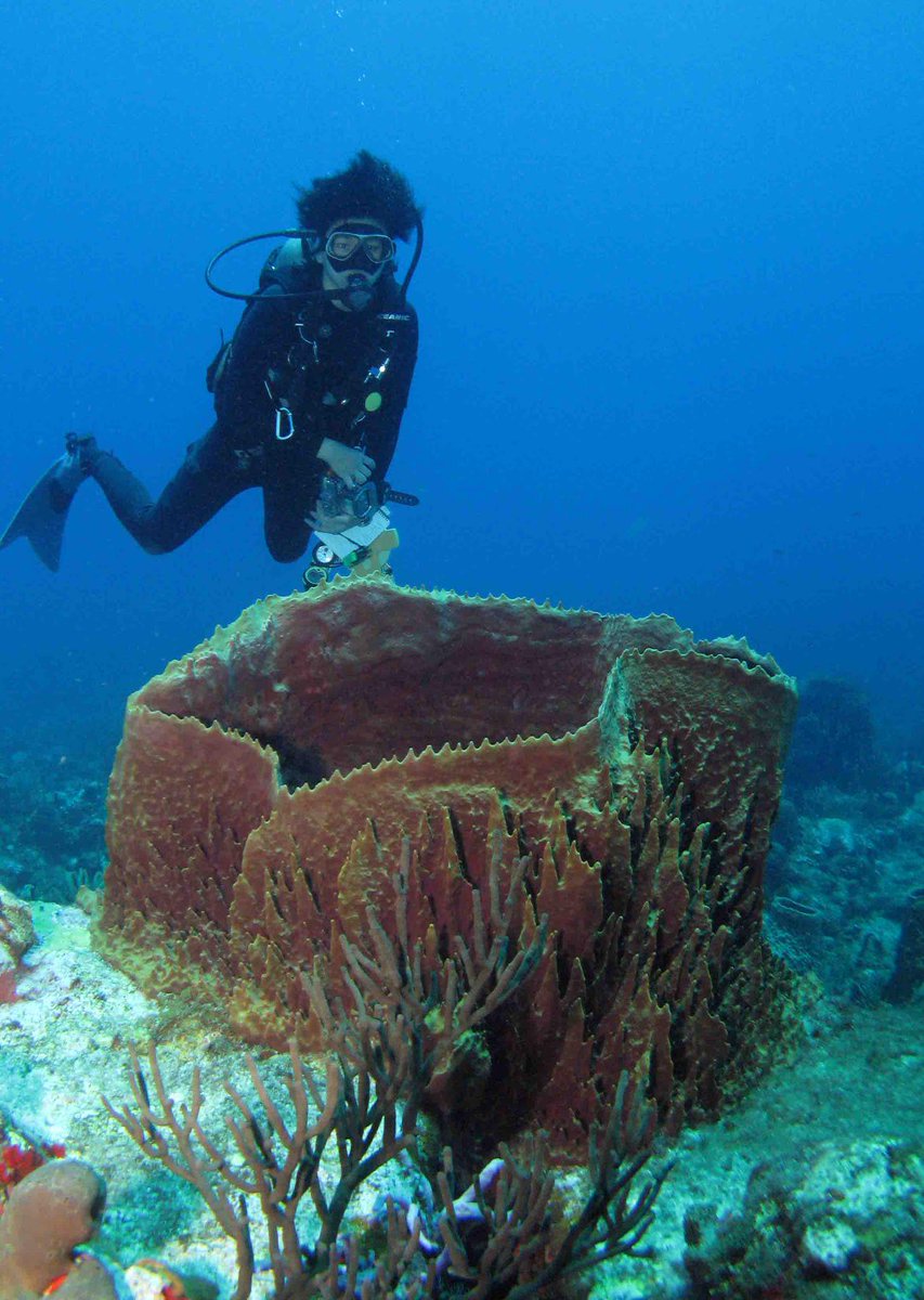 Pawlik Lab tweet media