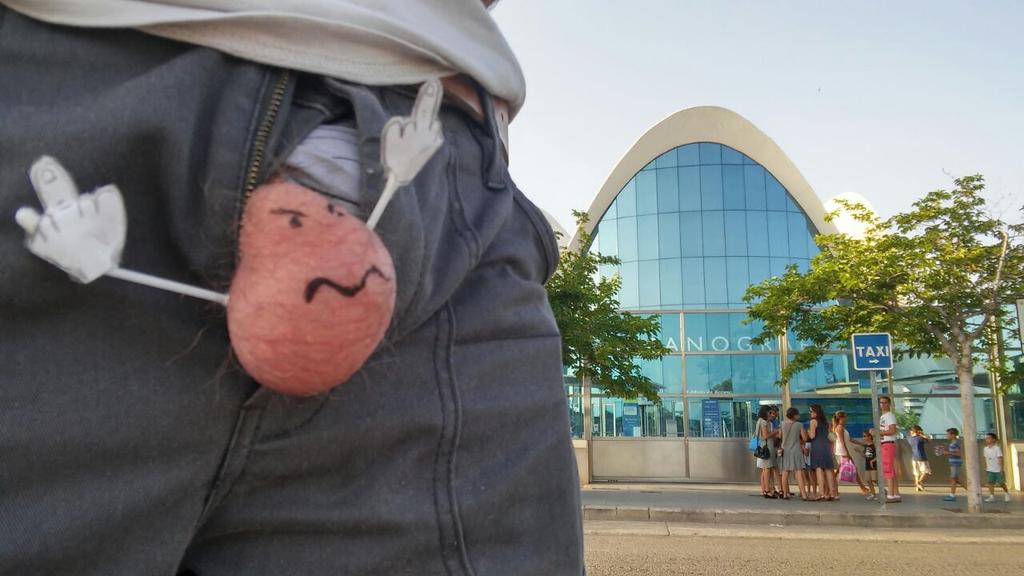 Dedicado a tod@s l@s que disfrutan viendo animales enjaulados. ¡A fer la ma, nano!  #Oceanografic  @CityArtsScience