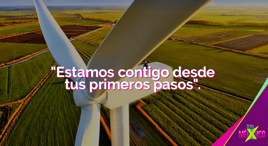 BrillaMexico's tweet photo. .@INADEM_SE nos ofrece un programa de incubación online para poder empezar una empresa verde. http://t.co/f03BmsHKrA http://t.co/Soa4o6qKYD