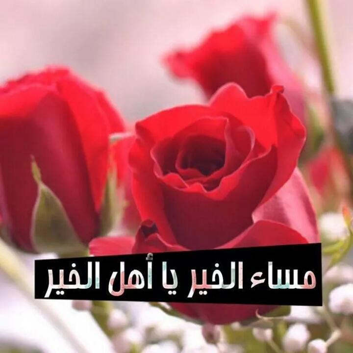 يسعدلي مساكم