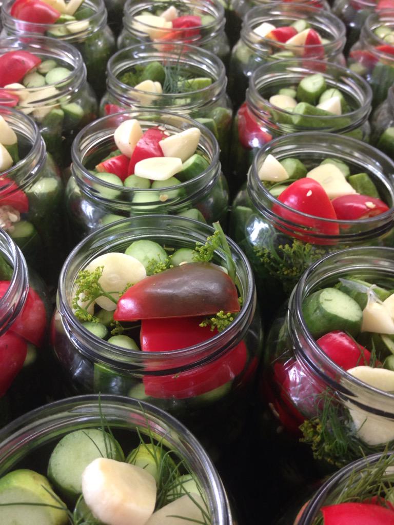 in_a_jam's tweet photo. Added cherry bomb peppers for hot dill pickles today.  Cucumber season is headed into its last week.  #local #food http://t.co/IMovBMCmLz