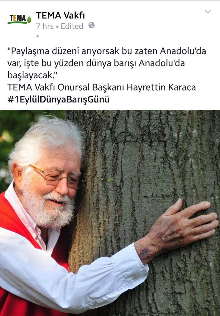 #TEMAVakfi ve #Agaclar, #AgaclariKoruyalim, #TEMAFoundation n #Trees, #SaveOurTrees.