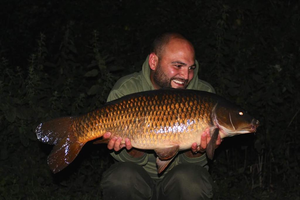 Sundays overnighter paid off, Well happy with these 4 not massive but proper lovely ones. <a href="/GardnerTackle/">Gardner Tackle</a> <a href="/BaitTech/">Bait Tech</a>