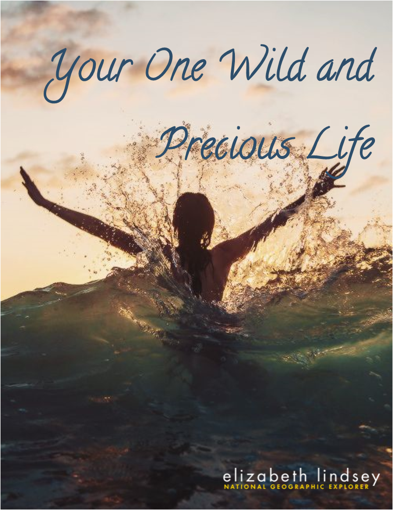 “Tell me, what is it you plan to do with your one wild and precious life?”