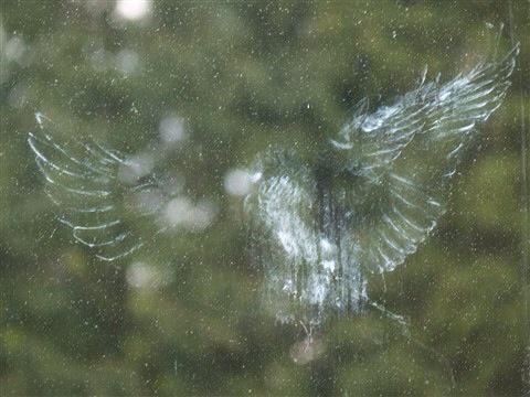 Nobody Told me the Fucking Transfer Window had closed.