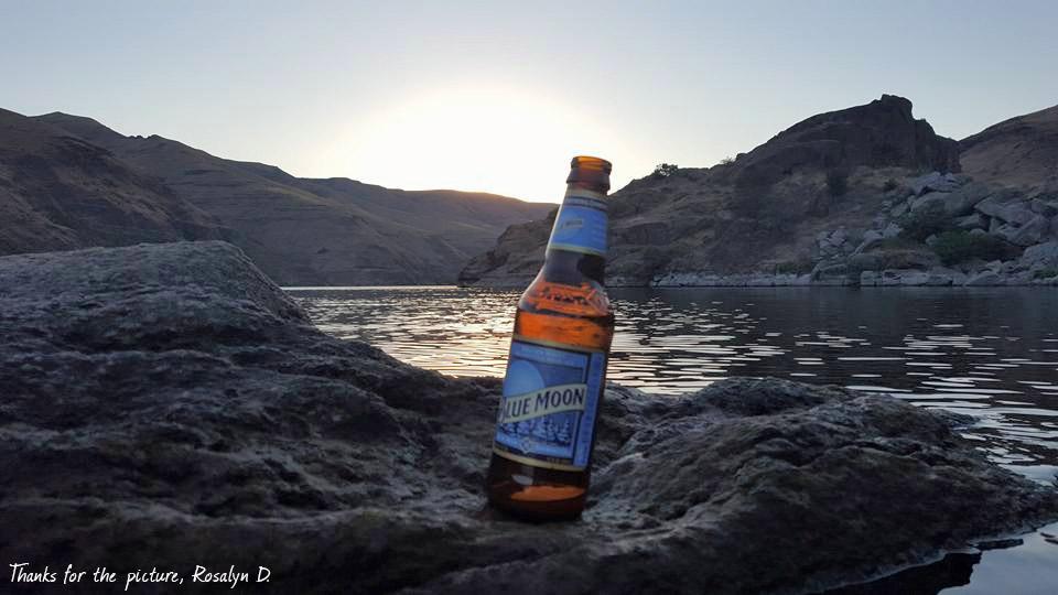 BlueMoonBrewCo's tweet image. Check out this #BlueMoonView from Rosalyn D.