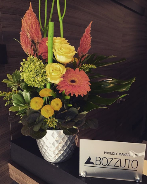 TheUptonApts's tweet photo. Thank you to @BloompopHQ for our beautiful fall flowers! 

#uptonlife #fallflowers http://t.co/eXwVULn6UG