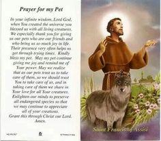 DiCarloRSC's tweet photo. A #piouscustom is the #BlessingofPets on Oct 4 Memorial of #StFrancisofAssisi. Medals & Prayer Cards at DiCarlo. http://t.co/f59p7RLt8I