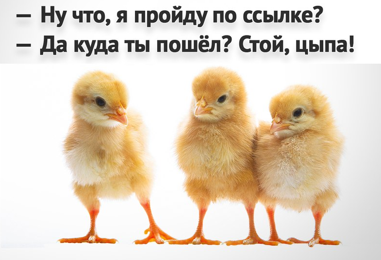 liderpr's tweet photo. http://t.co/qKWgLcsl8C http://t.co/iraWc1uYlO