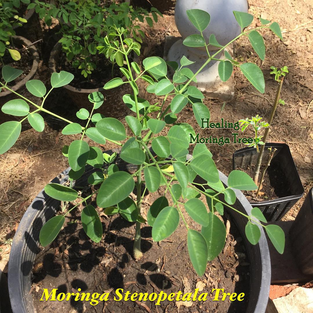 andrebrown92's tweet image. 