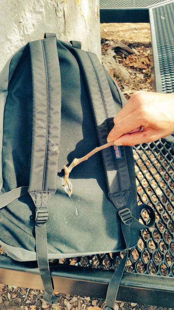 IzziStreetz's tweet photo. I'M LAUGHING SOOOO HARD. #EmsBackpack + #birdshit http://t.co/K3X4QzVNh1