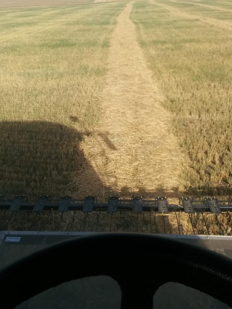 LoweTyson's tweet image. Trying to think on the bright side: shitty barley crop=25+ acres/hr #farmerlogic #drought #harvest15