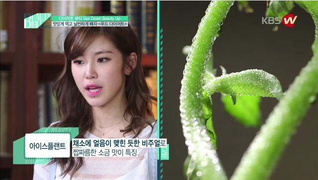 전효성이 알려주는 다이어트 음식들 | 인스티즈