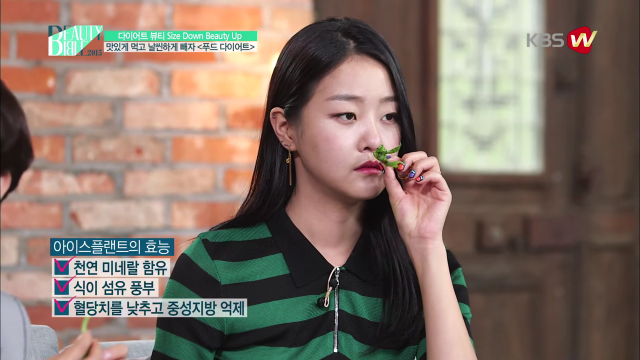 전효성이 알려주는 다이어트 음식들 | 인스티즈