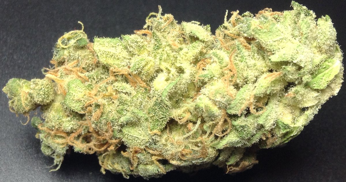 theAgingEnt's tweet image. New review:goo.gl/LCYQXC #DocCroc #LSD #WAPot This was a $10 gram #Marijuana from @abudandleaf #limit1