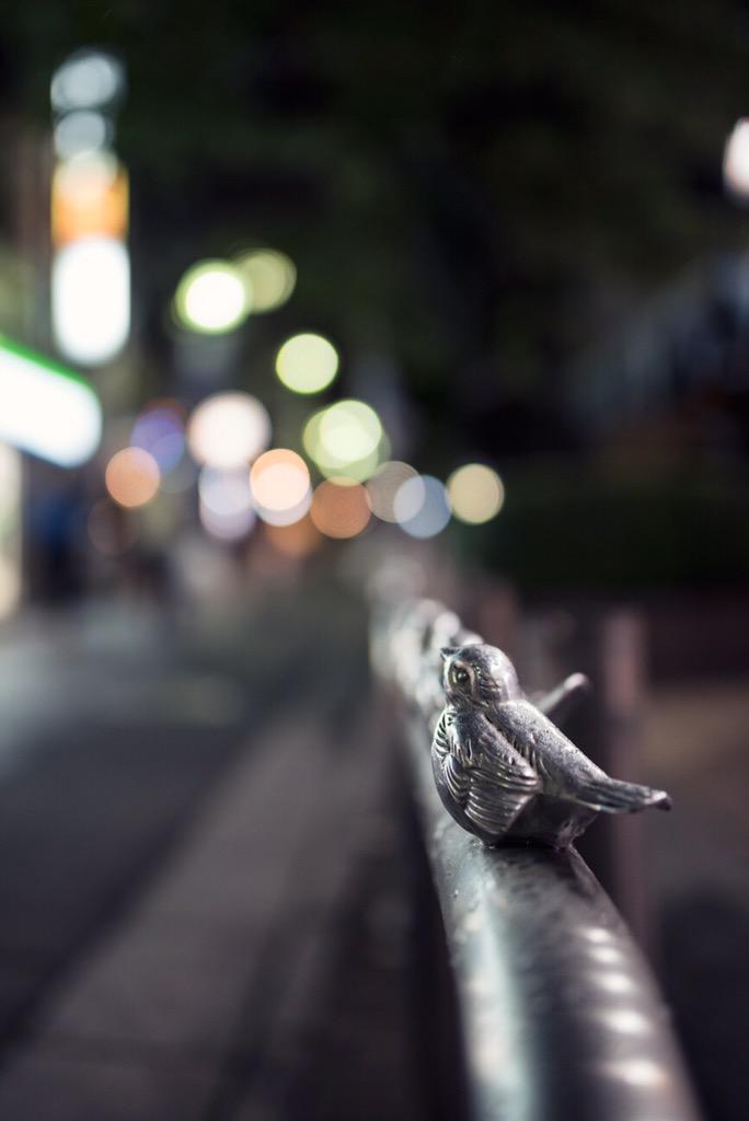 mtbk_tokyo's tweet image. #夜の花見 #スズメ #BokehLight #sparrow #Tokyo #Shimokitazawa #東京 #下北沢