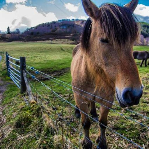 StephenSane's tweet image. 