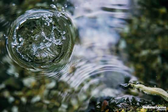 StephenSane's tweet image. 