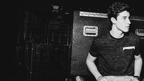 Your Stuff on Twitter: "Shawn Mendes Headers (request by a ...