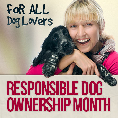 DVMElite's tweet image. It's #ResponsibleDogOwnershipMonth! Always be a responsible dog owner, and celebrate the deep bond between humans ...