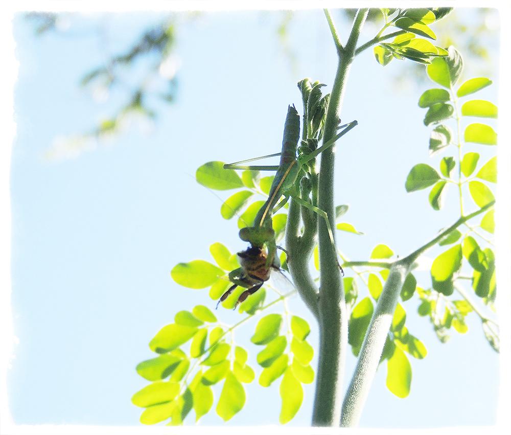 andrebrown92's tweet image. 