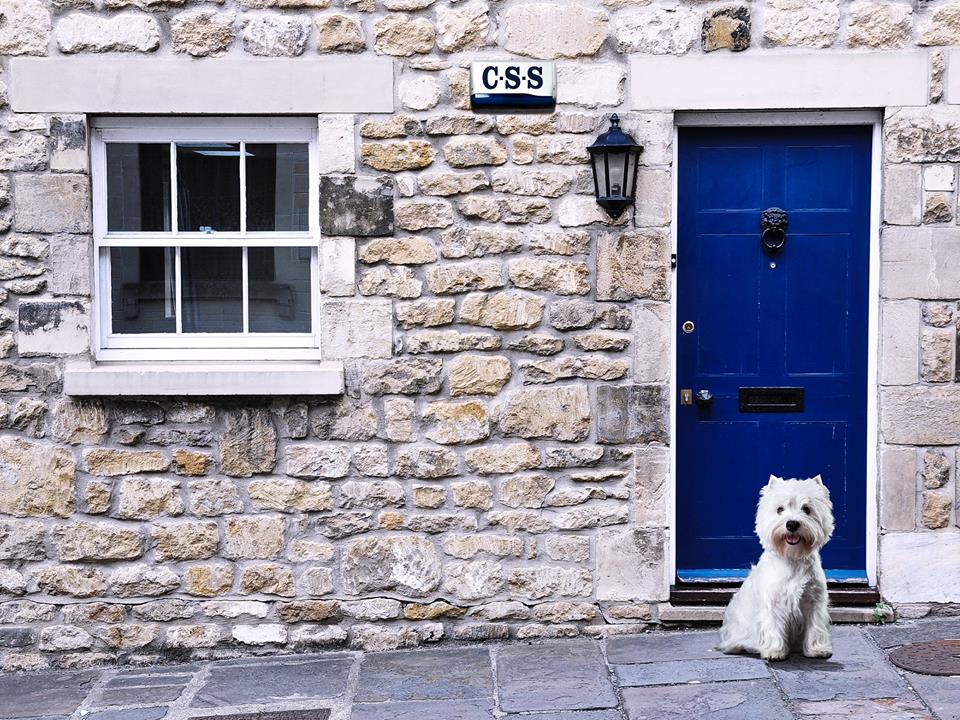 css_scotland's tweet photo. Cosy nights and darker months ahead, find out how we can protect your home all year round: http://t.co/k3Hr0EwNLt http://t.co/iKEWE3P7Hn