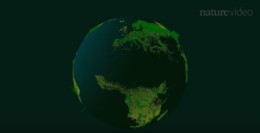 infobeautiful's tweet photo. Beautiful: How many trees are there in the world? https://t.co/dKxrr2pZXt by @JanWillemTulp http://t.co/6TqexvSS5z