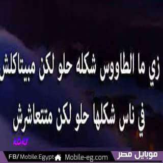 alialy698's tweet photo. http://t.co/vXWAOH1MlX