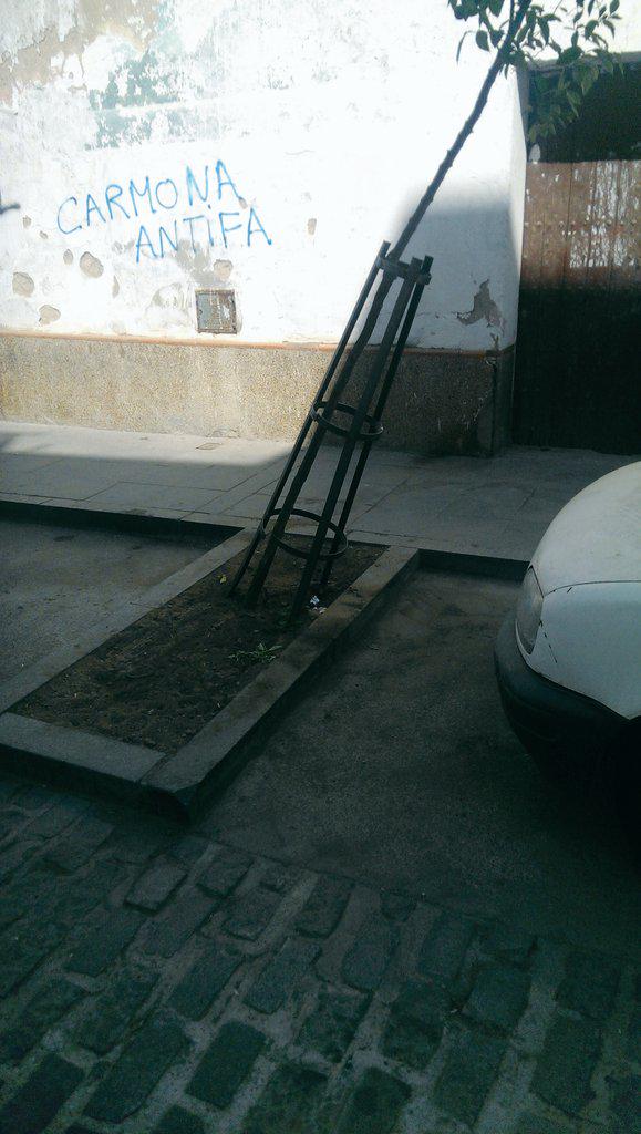 David_Climaco's tweet photo. @CarmonaAyto @angelicaalonsoa @LimancarSLU arboles en C/Fuenteviña en mal estado,ningún riego,ningún cuidado.Gracias! http://t.co/v3cDpJaUk7