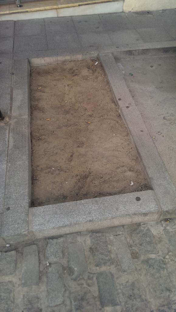 David_Climaco's tweet photo. @CarmonaAyto @angelicaalonsoa @LimancarSLU arboles en C/Fuenteviña en mal estado,ningún riego,ningún cuidado.Gracias! http://t.co/v3cDpJaUk7