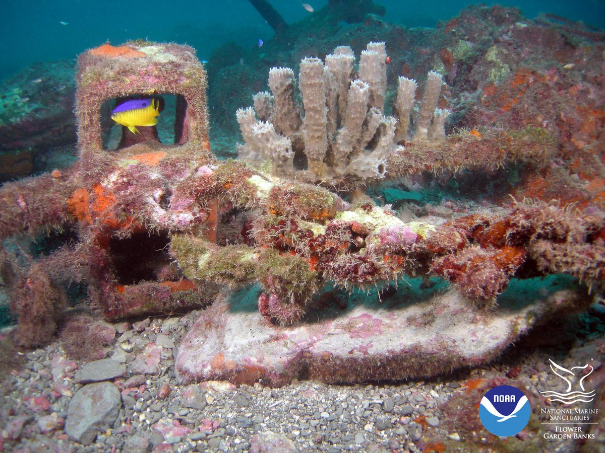 FGBNMS's tweet photo. #MarineDebris comes in all shapes and sizes, from minute to monstrous. #leaveonlybubbles http://t.co/i0ZwW2EP5M