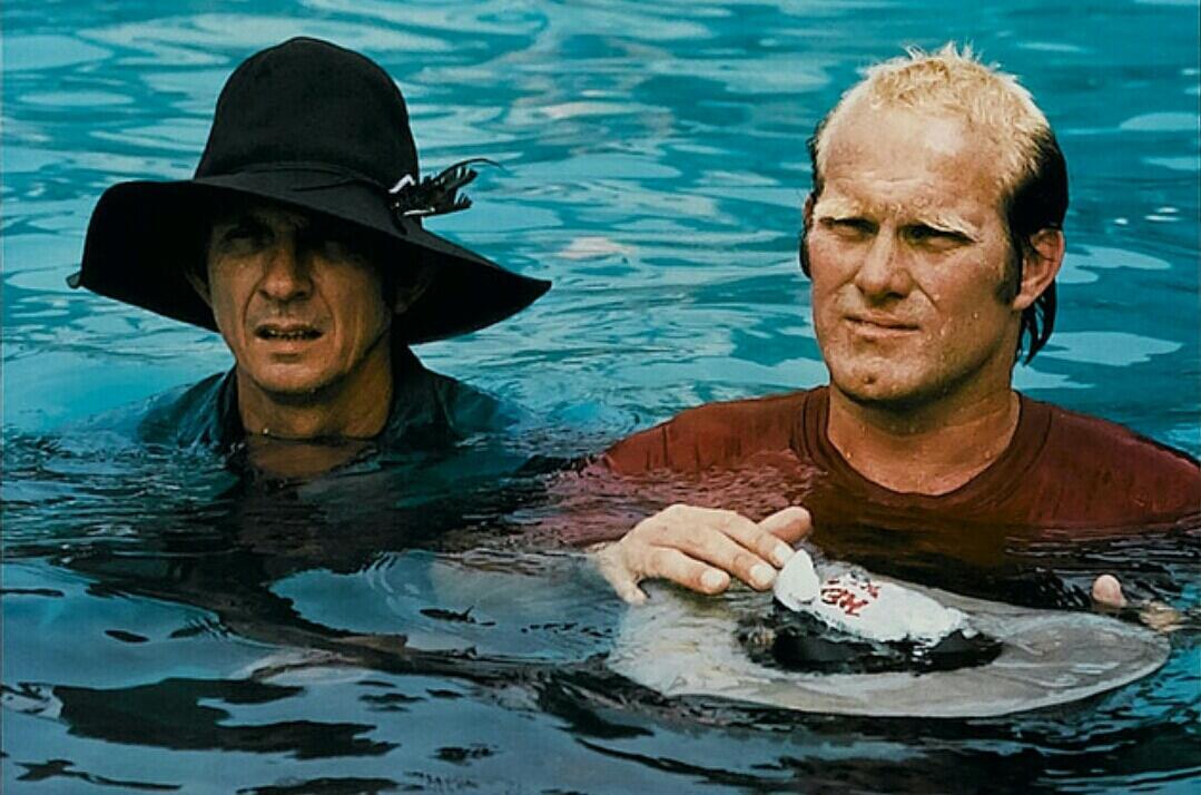 Happy birthday Terry Bradshaw!   