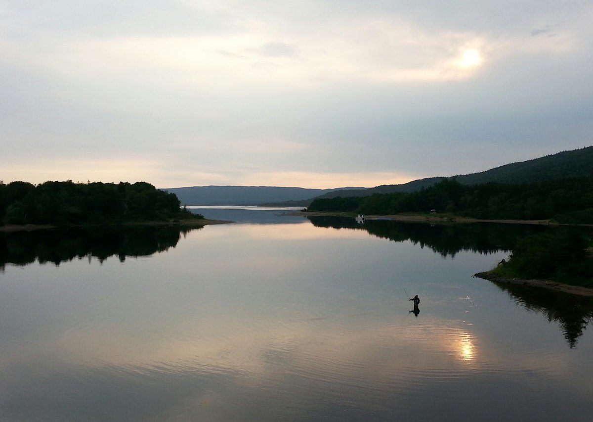 Morning Glory on the Humber #fishing <a href="/savewildsalmon/">Save Our Wild Salmon</a> <a href="/TheASF/">Apache - The ASF</a> @SalmonNews <a href="/DFO_MPO/">Fisheries Oceans Canada</a> #fishcamp #fishy <a href="/HumberValleyRes/">Humber Valley Resort</a>